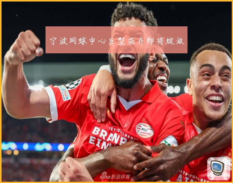 宁波网球中心巨型花卉即将绽放