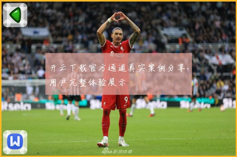 开云下载官方通道真实案例分享，用户完整体验展示