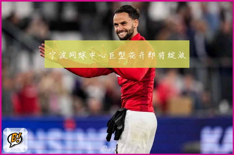 宁波网球中心巨型花卉即将绽放